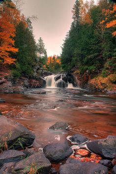 a river running through a forest filled with lots of trees covered in fall foliage and rocks