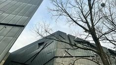 two tall buildings next to each other with trees in the foreground