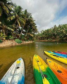 several kayaks are lined up on the shore of a tropical river with palm trees in the background