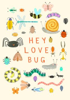 the words hey love bug are surrounded by bugs and other insect species on a white background