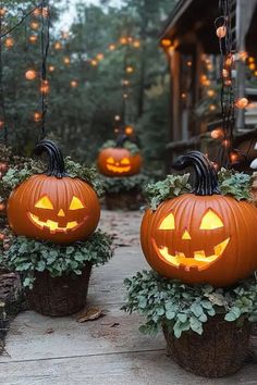 Glowing jack-o-lanterns surrounded by festive greenery as DIY outdoor Halloween decorations for a garden. Halloween Backyard, Halloween Yard Decorations Diy, Backyard Decor Ideas, Outside Halloween Decorations, Diy Yard Decor, Halloween Decorations Ideas, Unique Halloween Decorations, Cute Pumpkin Carving