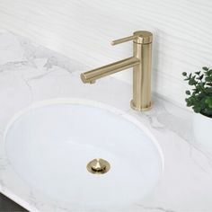 a bathroom sink with a gold faucet and white marble counter top next to a potted plant