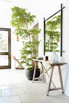 an image of a room with plants in it