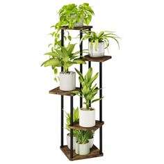 three tiered plant stand with potted plants