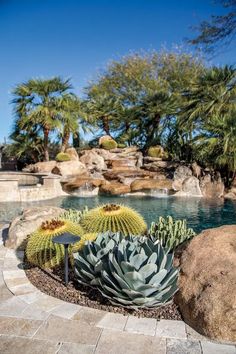 an outdoor pool surrounded by rocks and cactus plants in the foreground with palm trees on either side