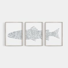 three framed art pieces with words written in different languages on them, each depicting a fish