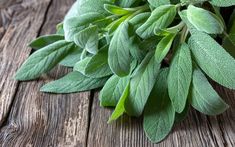 some green leaves on a wooden table