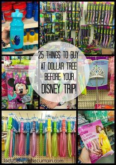 there are many different items for sale in the store and it is time to buy at dollar tree before your disney trip