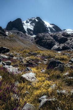 the mountain is covered with snow and flowers in the foreground, as well as some rocks on the ground