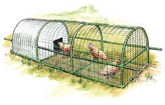 two chickens in a green metal cage