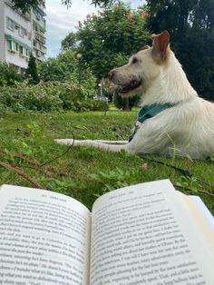 a white dog laying on top of a lush green field next to an open book