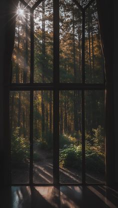 the sun shines through an open window into a wooded area with trees and grass