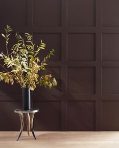 Wenge AF-180 | Benjamin Moore Benjamin Moore Brown, Mauve Paint Colors, Chocolate Brown Paint, Brown Accent Wall, Paint Color Swatches, Brown Paint Colors, Pink Paint Colors