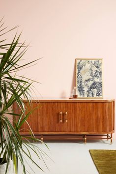 a wooden cabinet sitting next to a plant on top of a white carpeted floor