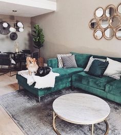 a living room filled with furniture and a cat sitting on top of the couches