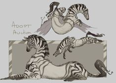 two zebras are laying down and one is jumping in the air with its tail extended