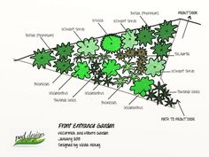 a diagram showing the parts of a plant with labels on each side and labeled in green leaves