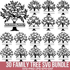 30 family tree svg bundle