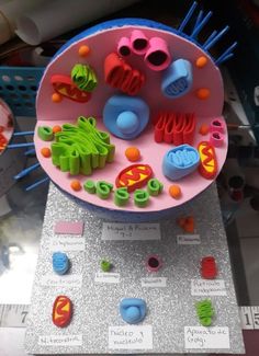 a close up of a plate with plastic objects on it