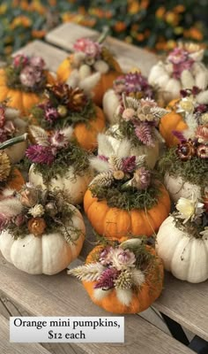 small pumpkins with flowers on them sitting on a bench