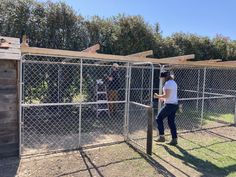 a person standing in front of a chain link fence and looking at something on the ground