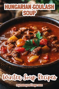 winter soup recipe with hungarian goulash