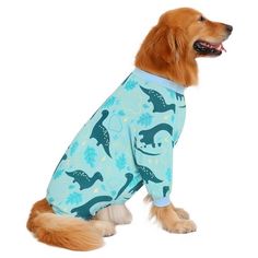 a brown dog wearing a blue shirt with dinosaurs on it's chest and legs