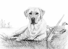 Hunting Dog Drawing Simple, Lab Dog, Puppy Drawing, Dog Coloring Page, Colouring Pics, Hunting Dog, Wood Burning Art