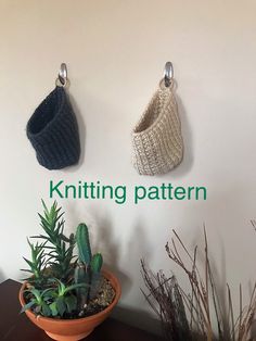 two knitted hats hanging on the wall next to a potted plant and succulents