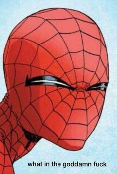 a spider - man with his eyes closed and the caption that says, what in the god damn fock?