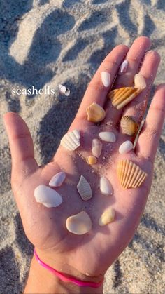 someone is holding their hand full of shells on the beach