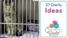 a cat sitting in a cage with the caption 27 charity ideas