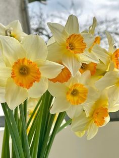 a vase filled with yellow and white flowers