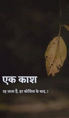 a leaf hanging from a tree branch with the words written in english and an image of a