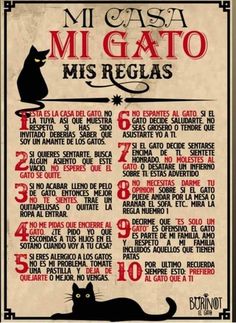 a poster with an image of a cat on it's back and the words mi gato mis reglas written in spanish