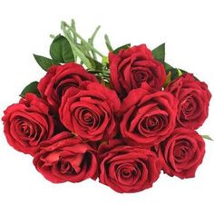 a bouquet of red roses on a white background