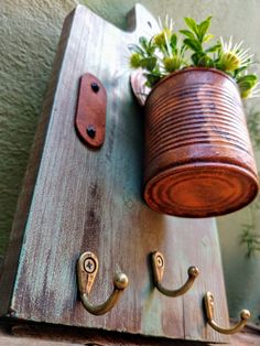 a potted plant sitting on top of a wooden shelf next to an iron hook