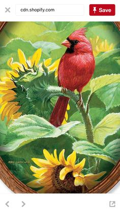 a red bird sitting on top of a green leafy plant next to a yellow sunflower