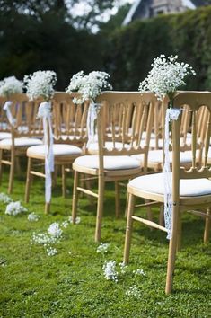 rows of wooden chairs with white sashes and baby's breath flowers