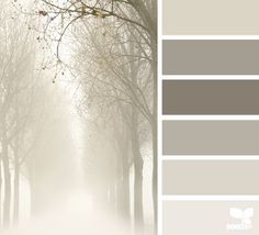 an image of a foggy forest with trees in the foreground and color swatches