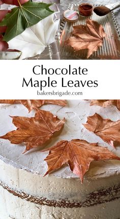 chocolate maple leaves on top of a cake