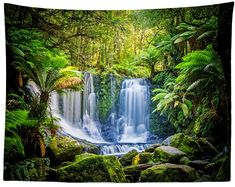 a waterfall surrounded by lush green plants and rocks in the forest with water running down it