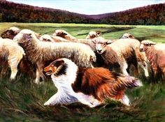 a painting of a dog herding sheep in a field