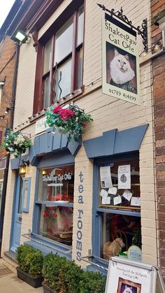 the outside of a building with flowers and pictures on it's front window display