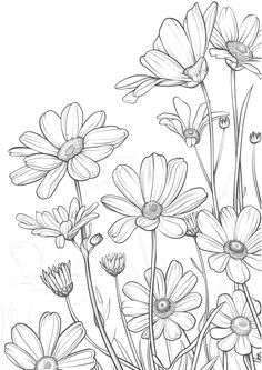 a black and white drawing of flowers