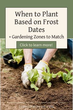 someone is gardening in the dirt with their hands on top of some plants and text that reads