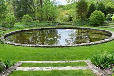 a pond in the middle of a lush green field