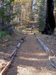 several logs are lined up on the trail