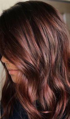 Fall Hair Colour, Black Hair Ombre, Hair Colour Ideas, Rambut Brunette, Hair Color For Brunettes, Color For Brunettes, Hair Color Auburn, Colour Ideas, Winter Hair Color