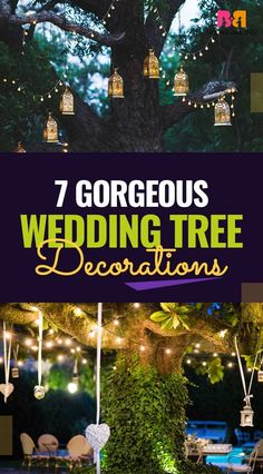 an outdoor wedding tree decorated with fairy lights and hanging lanterns is the focal point for this photo